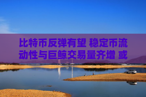 比特币反弹有望 稳定币流动性与巨鲸交易量齐增 或迎10月最佳行情