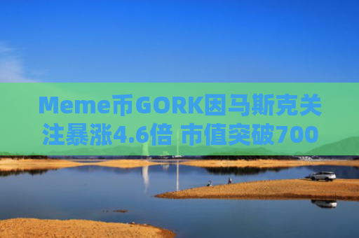 Meme币GORK因马斯克关注暴涨4.6倍 市值突破7000万美元