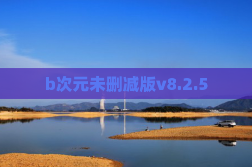 b次元未删减版v8.2.5
