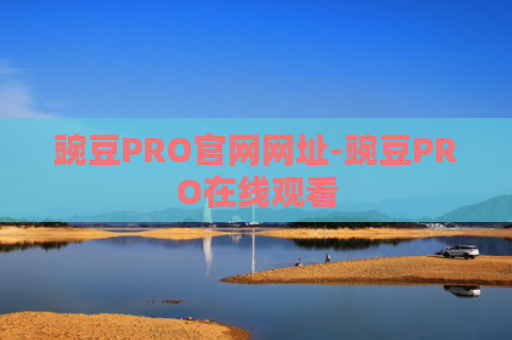 豌豆PRO官网网址-豌豆PRO在线观看