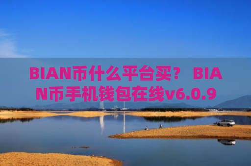 BIAN币什么平台买？ BIAN币手机钱包在线v6.0.9