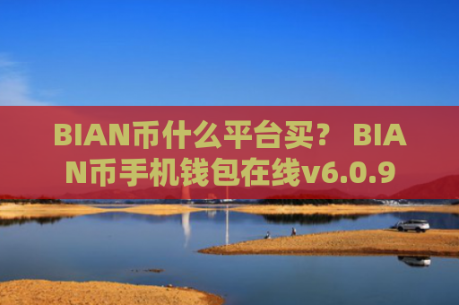 BIAN币什么平台买？ BIAN币手机钱包在线v6.0.9