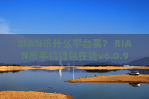 BIAN币什么平台买？ BIAN币手机钱包在线v6.0.9
