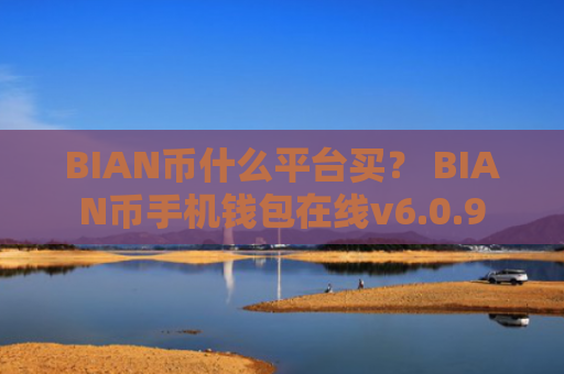 BIAN币什么平台买？ BIAN币手机钱包在线v6.0.9
