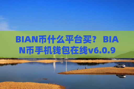 BIAN币什么平台买？ BIAN币手机钱包在线v6.0.9