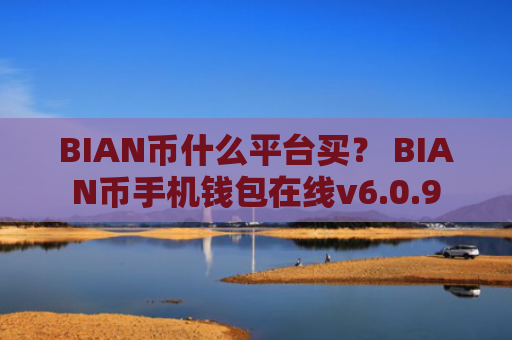 BIAN币什么平台买？ BIAN币手机钱包在线v6.0.9