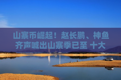 山寨币崛起！赵长鹏、神鱼齐声喊出山寨季已至 十大巨鲸活跃代币名单曝光
