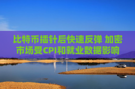 比特币插针后快速反弹 加密市场受CPI和就业数据影响或进入盘整期