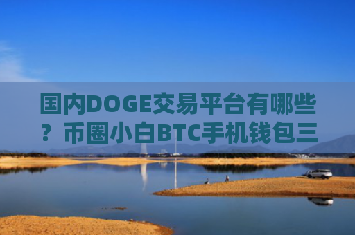 国内DOGE交易平台有哪些？币圈小白BTC手机钱包三大盘点