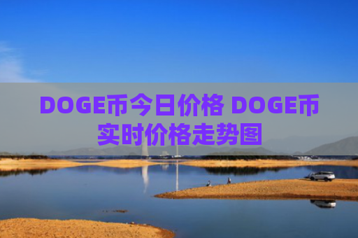 DOGE币今日价格 DOGE币实时价格走势图