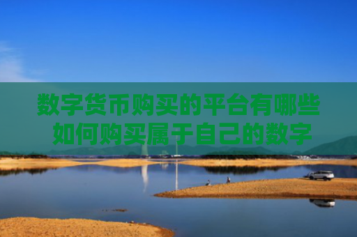 数字货币购买的平台有哪些 如何购买属于自己的数字货币？