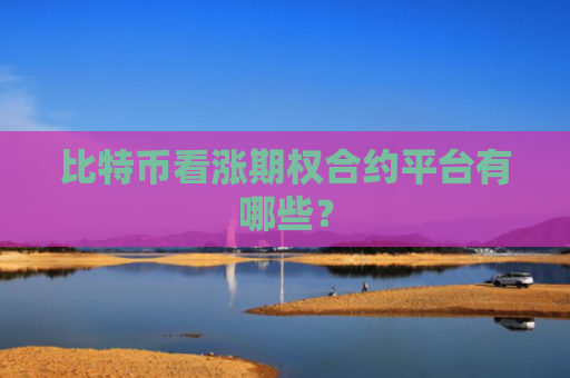 比特币看涨期权合约平台有哪些？