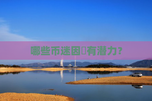 哪些币迷因帀有潜力？