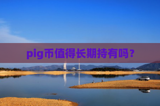 pig币值得长期持有吗？