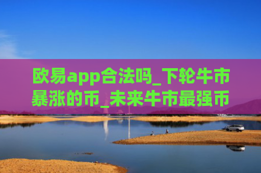 欧易app合法吗_下轮牛市暴涨的币_未来牛市最强币