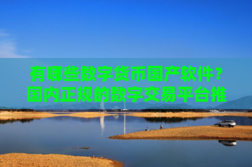 有哪些数字货币国产软件？国内正规的数字交易平台推荐分享！