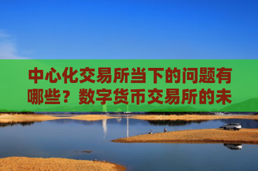 中心化交易所当下的问题有哪些？数字货币交易所的未来应该如何发展？