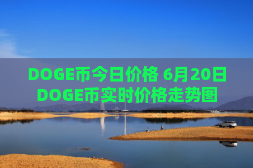 DOGE币今日价格 6月20日DOGE币实时价格走势图