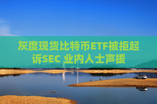 灰度现货比特币ETF被拒起诉SEC 业内人士声援