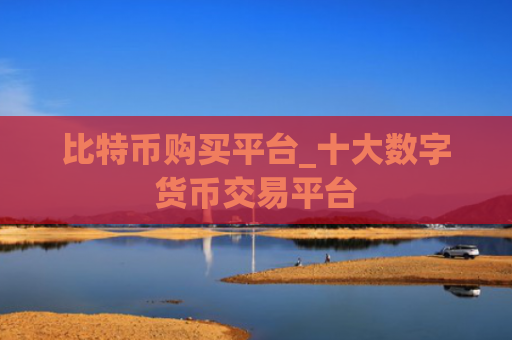 比特币购买平台_十大数字货币交易平台