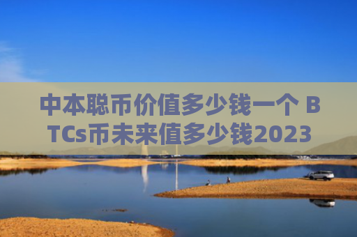 中本聪币价值多少钱一个 BTCs币未来值多少钱2023