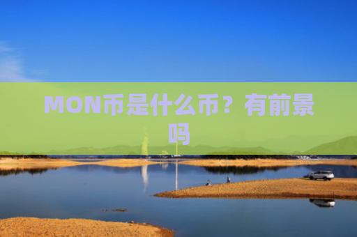 MON币是什么币？有前景吗