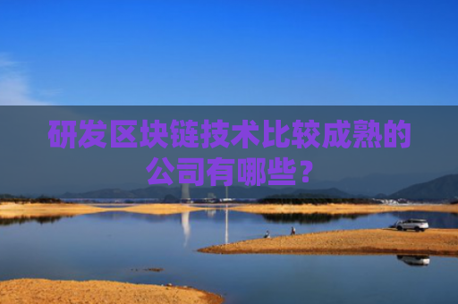 研发区块链技术比较成熟的公司有哪些？