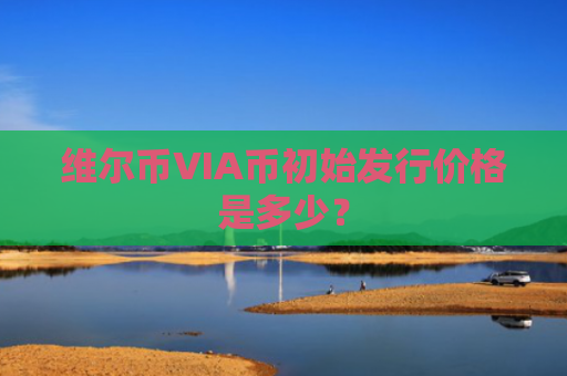 维尔币VIA币初始发行价格是多少？