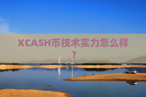XCASH币技术实力怎么样？