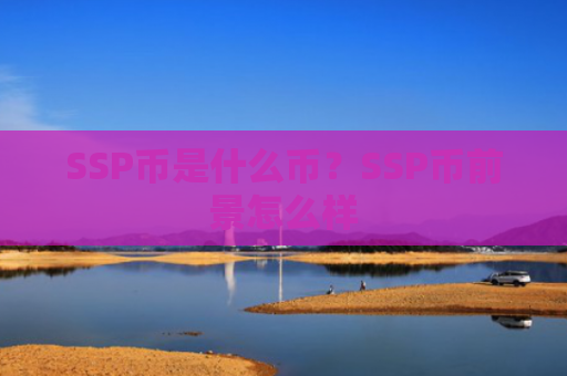 SSP币是什么币？SSP币前景怎么样