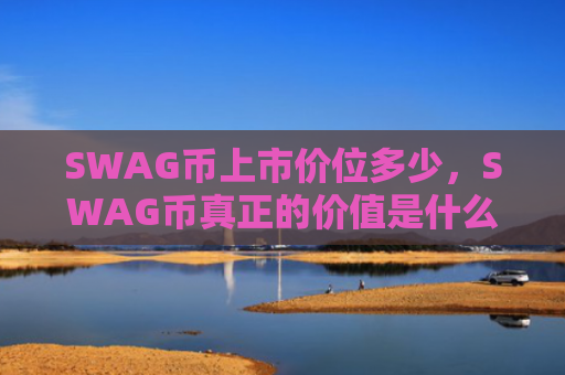 SWAG币上市价位多少，SWAG币真正的价值是什么？