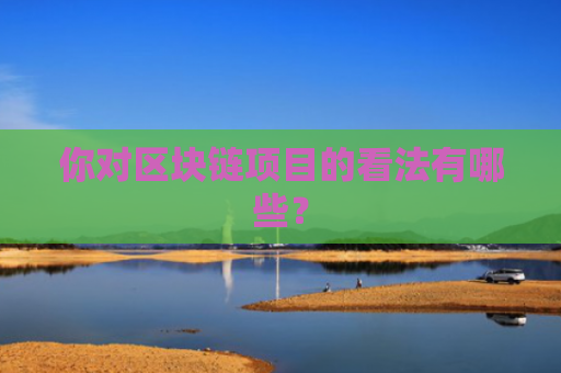 你对区块链项目的看法有哪些？
