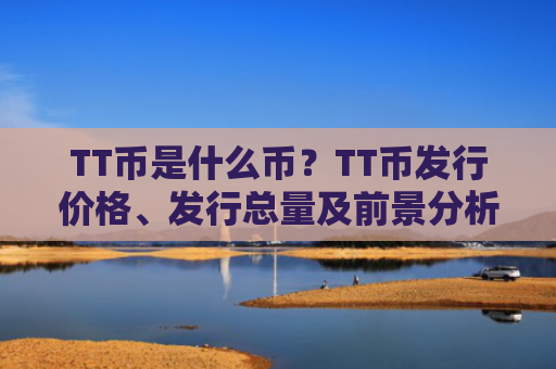 TT币是什么币？TT币发行价格、发行总量及前景分析