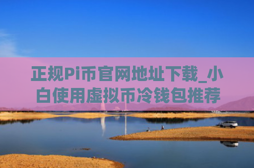 正规Pi币官网地址下载_小白使用虚拟币冷钱包推荐