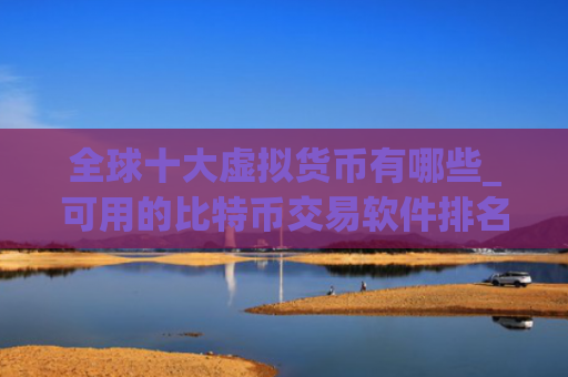 全球十大虚拟货币有哪些_可用的比特币交易软件排名盘点