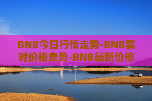 BNB今日行情走势-BNB实时价格走势-BNB最新价格