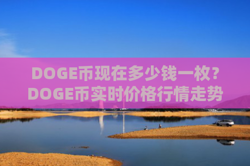DOGE币现在多少钱一枚？DOGE币实时价格行情走势