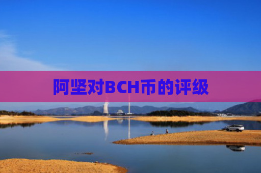 阿坚对BCH币的评级