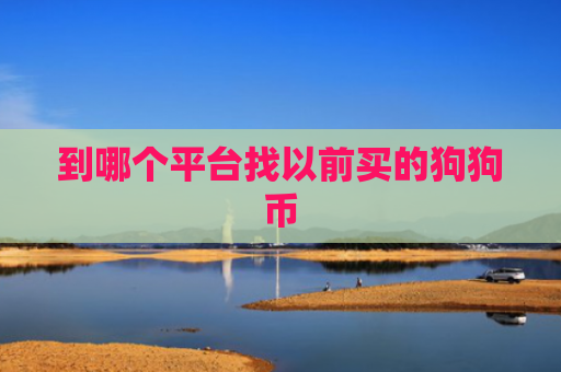 到哪个平台找以前买的狗狗币