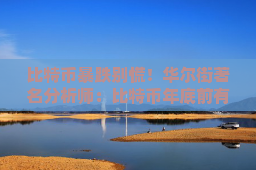 比特币暴跌别慌！华尔街著名分析师：比特币年底前有望10万美元