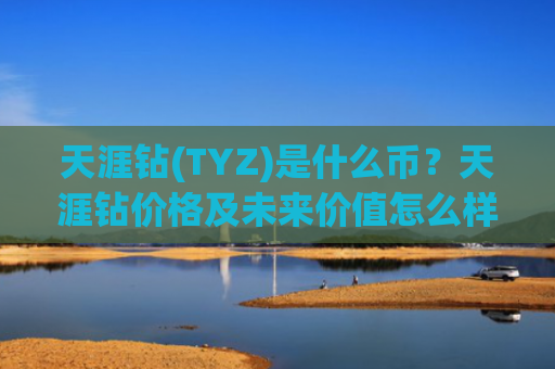 天涯钻(TYZ)是什么币？天涯钻价格及未来价值怎么样