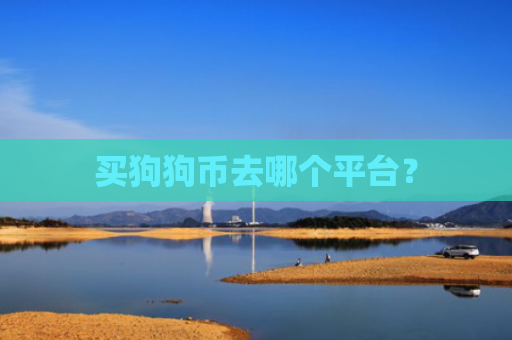 买狗狗币去哪个平台？