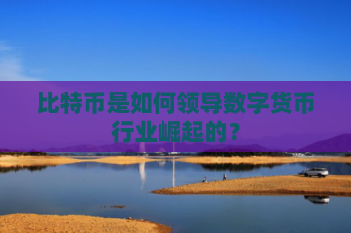 比特币是如何领导数字货币行业崛起的？