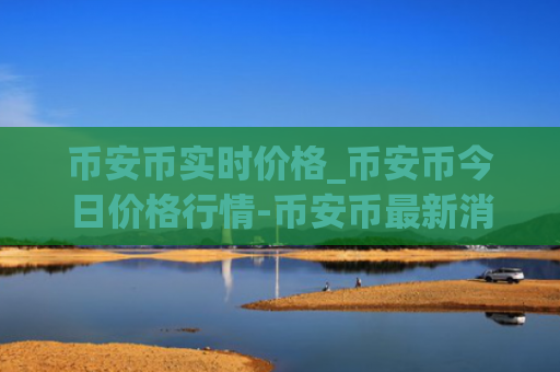 币安币实时价格_币安币今日价格行情-币安币最新消息