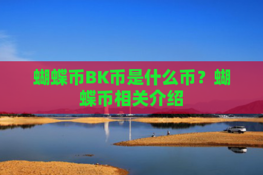 蝴蝶币BK币是什么币？蝴蝶币相关介绍