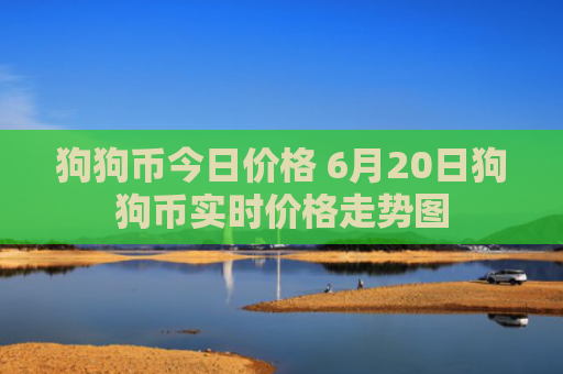 狗狗币今日价格 6月20日狗狗币实时价格走势图