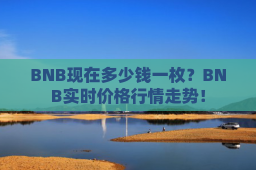 BNB现在多少钱一枚？BNB实时价格行情走势！