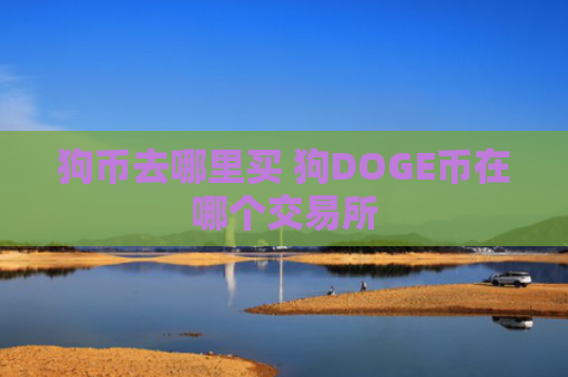 狗币去哪里买 狗DOGE币在哪个交易所