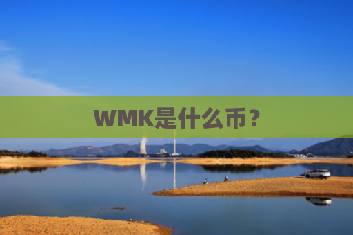 WMK是什么币？