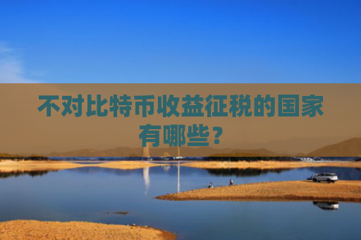 不对比特币收益征税的国家有哪些？